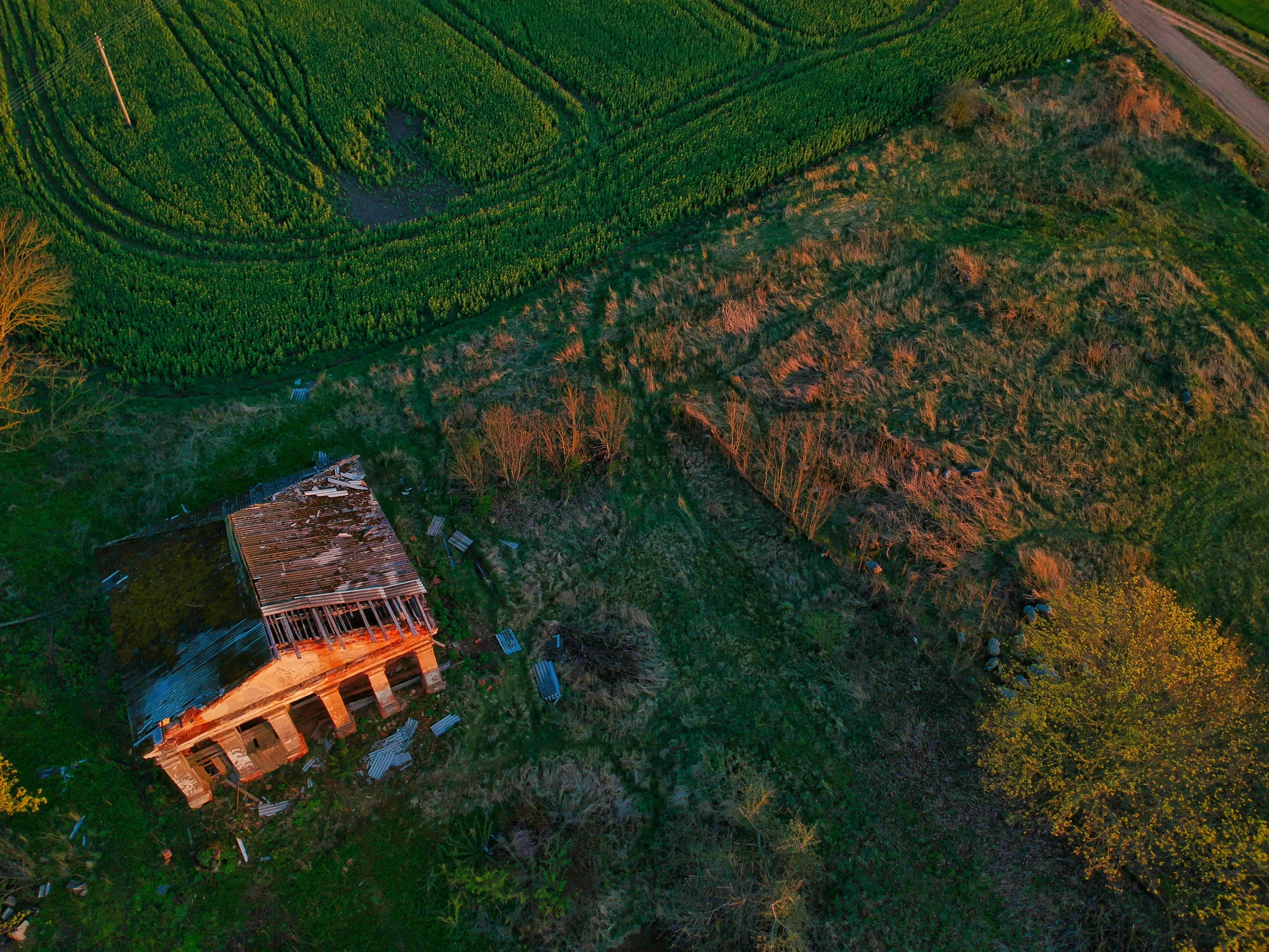 Hobi Bahçesi Nedir? Yasal mı? 2026 Güncel Bilgiler ve Riskler